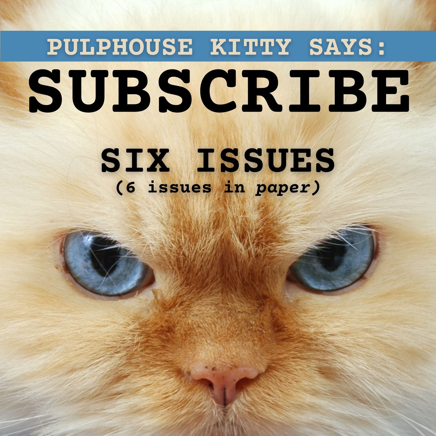 6 Issue Subscription to Pulphouse Fiction Magazine (Trade Paperback)