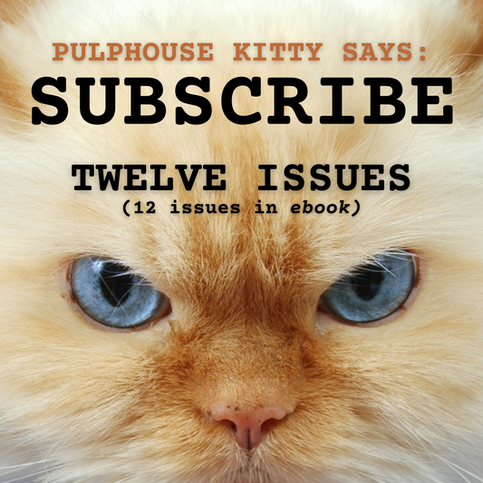 12 Issue Subscription to Pulphouse Fiction Magazine (eBook)