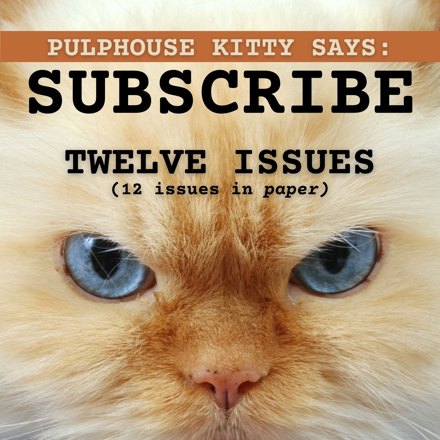 12 Issue Subscription to Pulphouse Fiction Magazine (Trade Paperback)