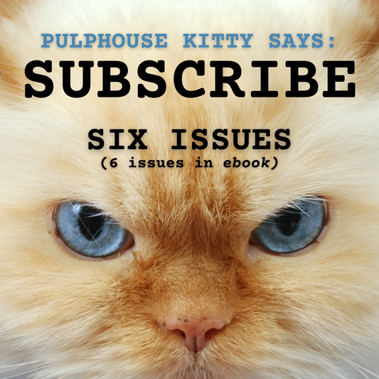 6 Issue Subscription to Pulphouse Fiction Magazine (eBook)