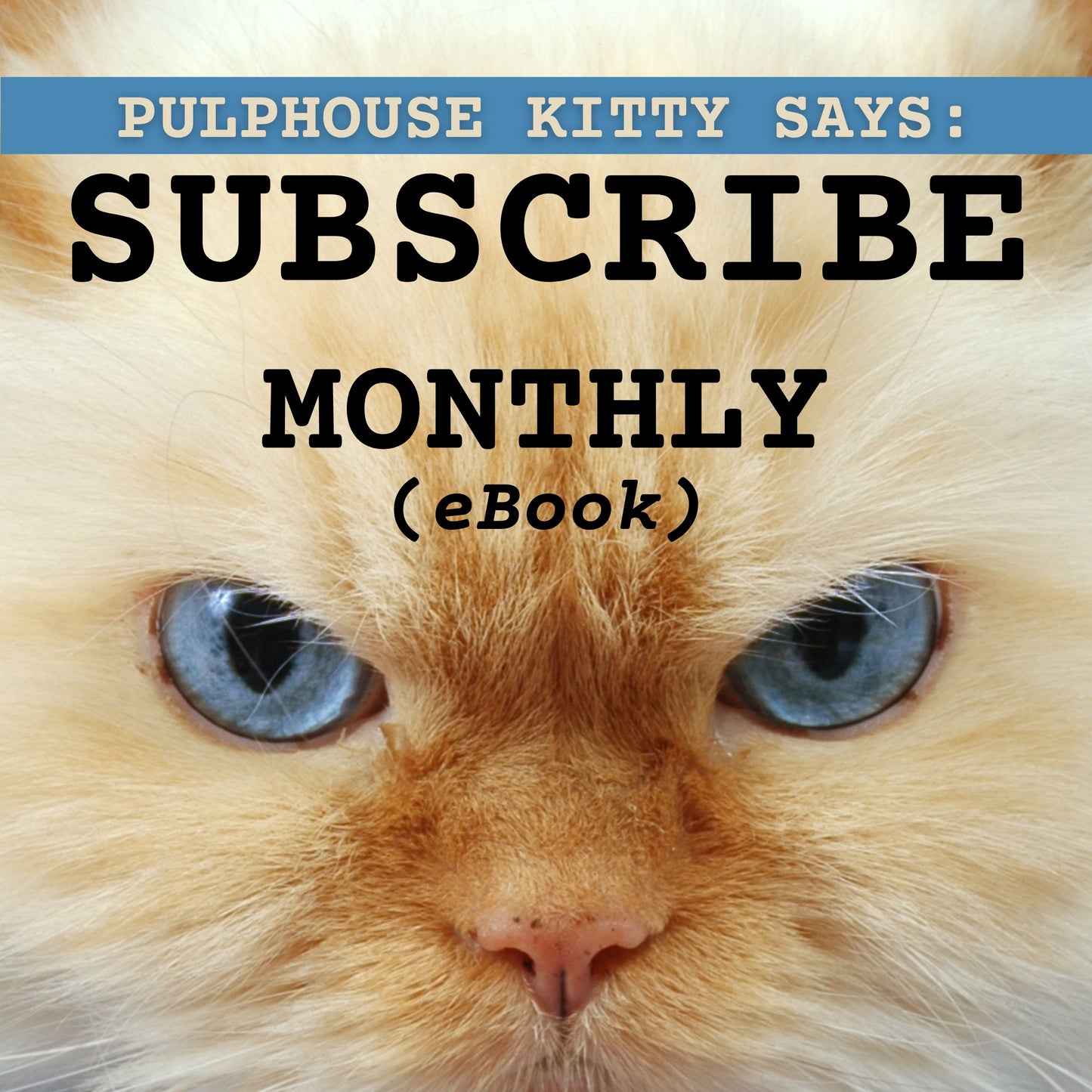 MONTHLY Subscription (eBook ) | Pulphouse Fiction Magazine